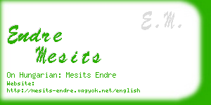 endre mesits business card